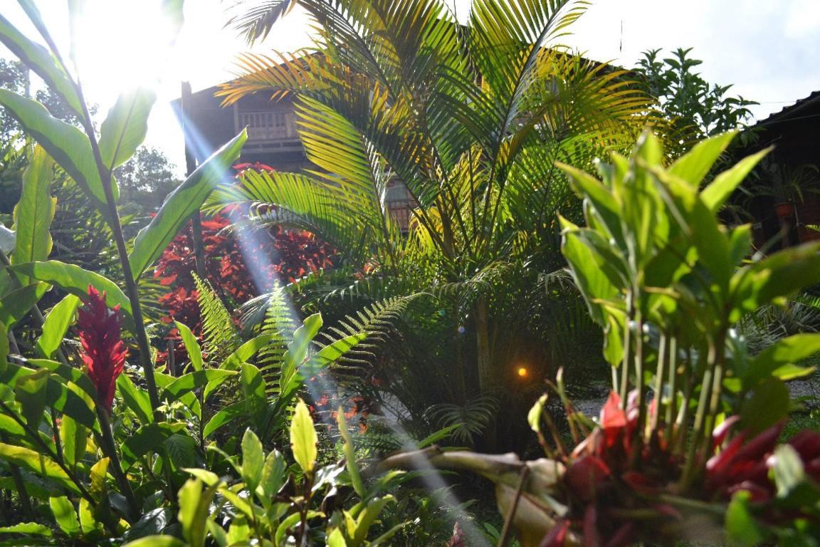 Mindo Green House Zewnętrze zdjęcie